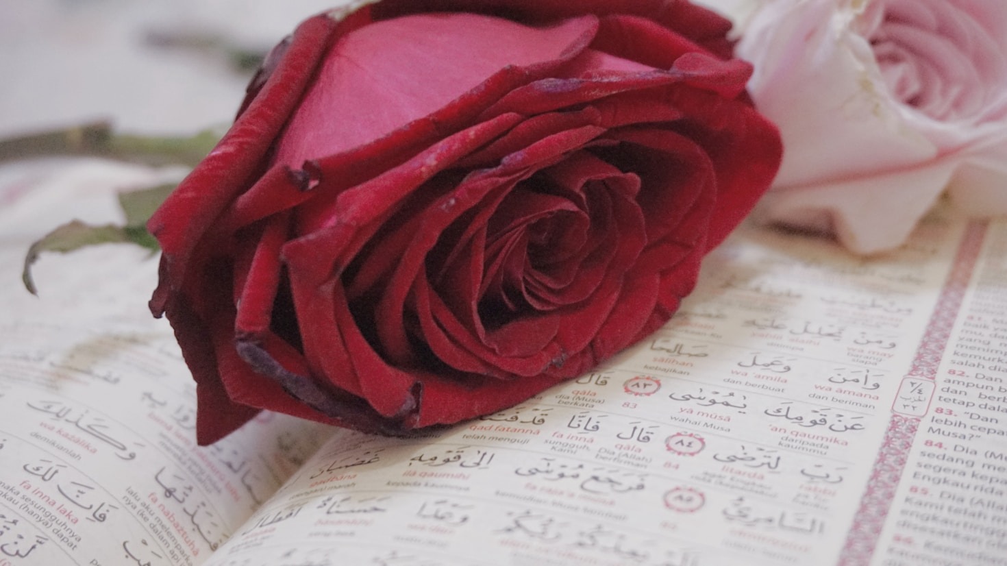 Dreamy Stories for the Hopeless Romantic